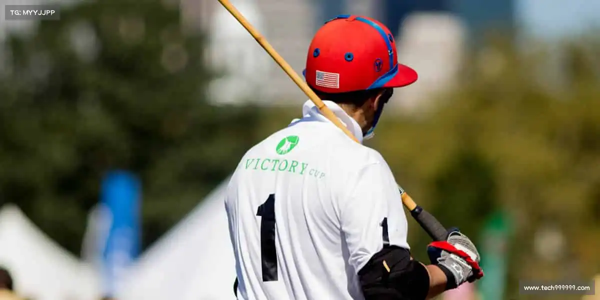 为什么选择我们